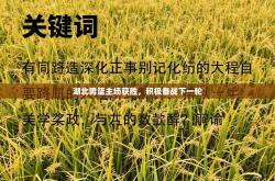 湖北男篮主场获胜，积极备战下一轮