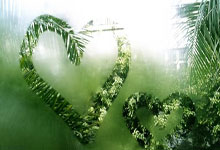 曼城对阵富勒姆：一场充满期待与谜团的足球盛宴