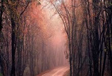 皇家马德里连续胜利，领跑积分榜