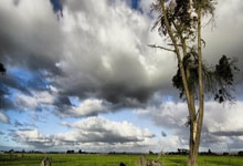 皇家马德里连续胜利，领跑积分榜