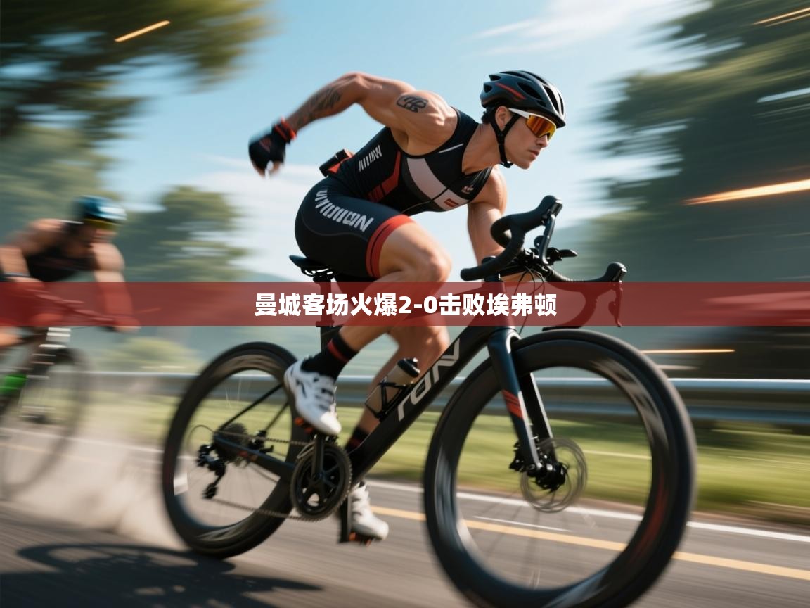 曼城客场火爆2-0击败埃弗顿  第1张