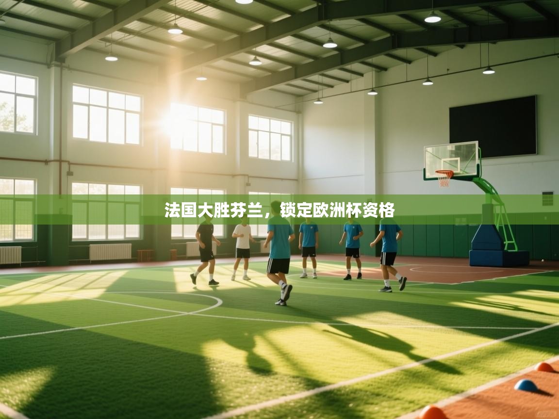 法国大胜芬兰，锁定欧洲杯资格  第1张